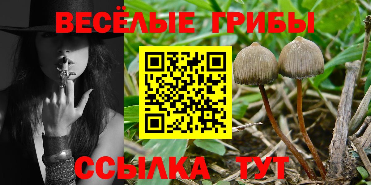 Псилоцибиновые грибы GOLDEN TEACHER Медногорск