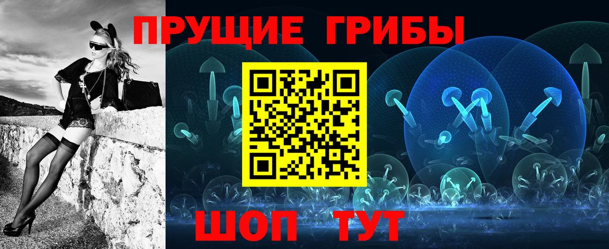 Псилоцибиновые грибы Cubensis  Вход с VPN  хочу   Медногорск 